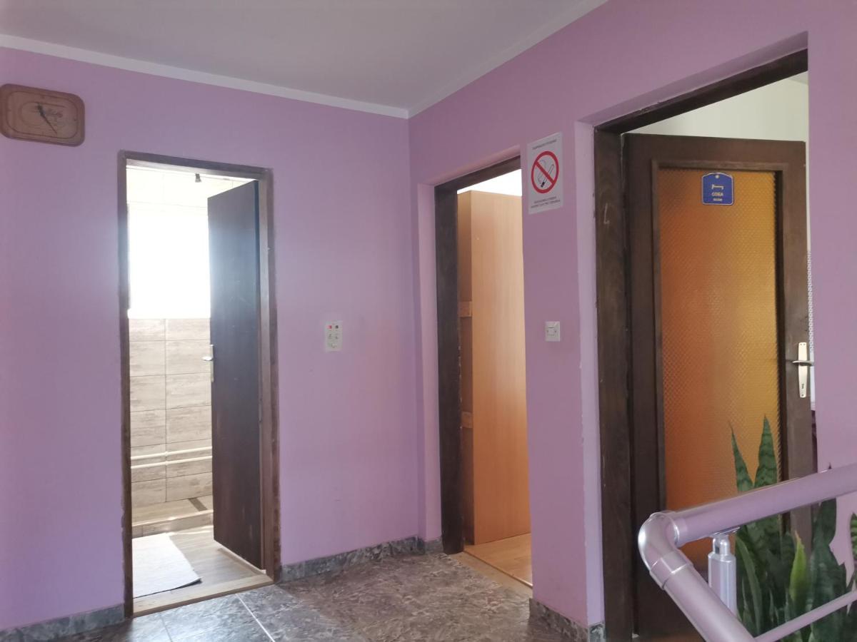 Smestaj Urosevic Golubac Exterior foto